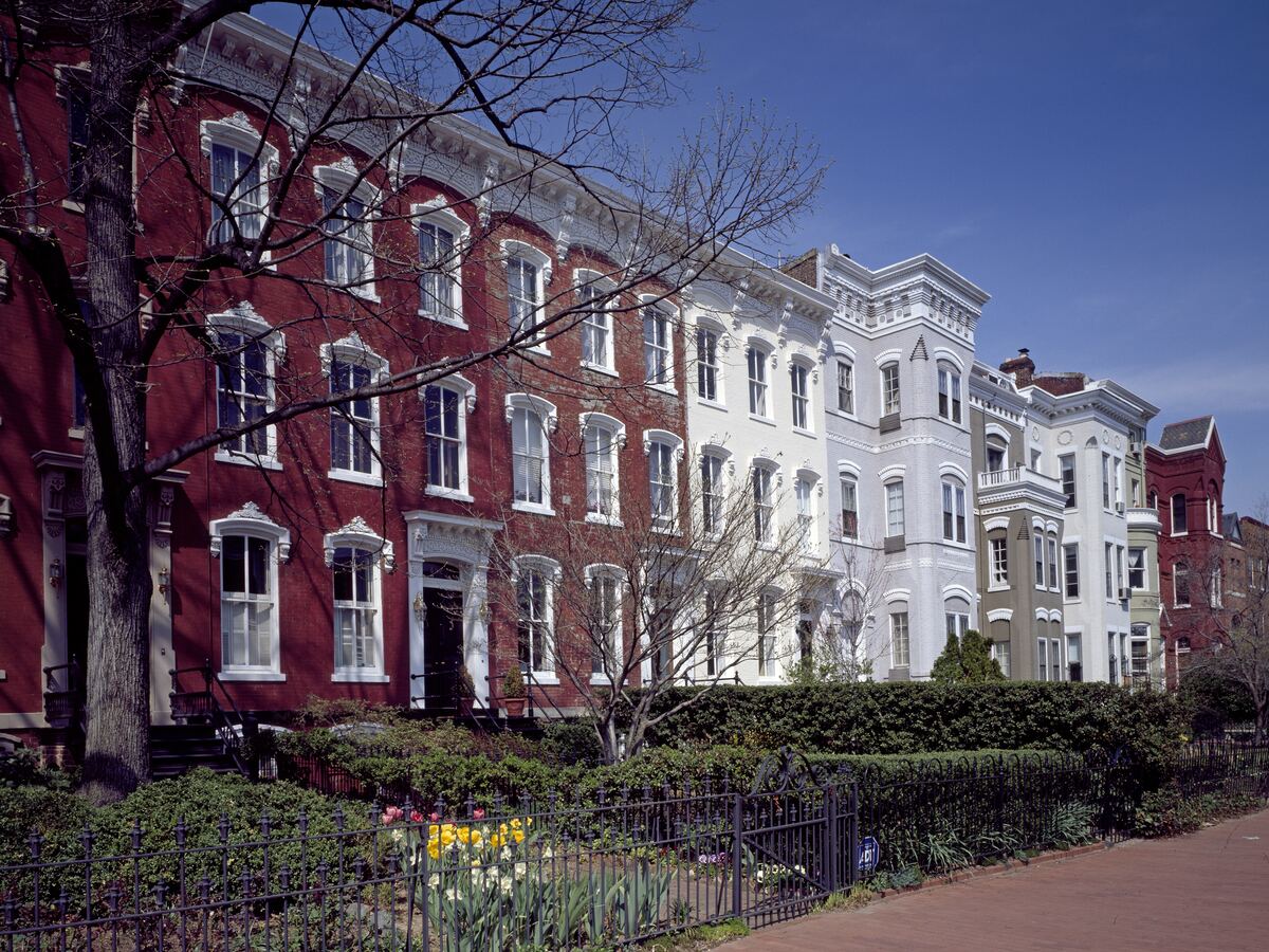 A row of historic brick townhouses on a tree lined street in Washington